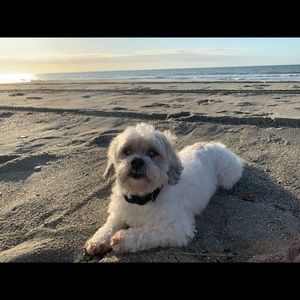 Meet your Posher, Barbara